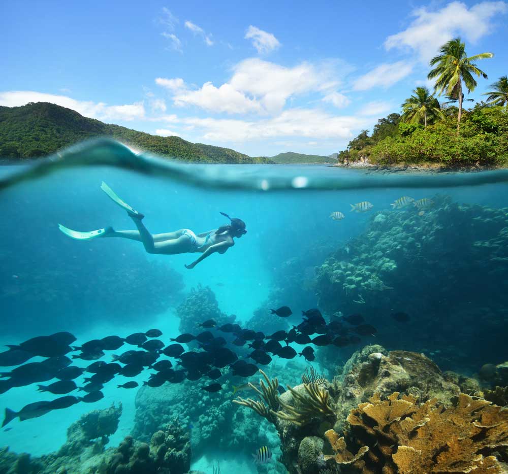 diving diving