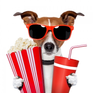 movie dog