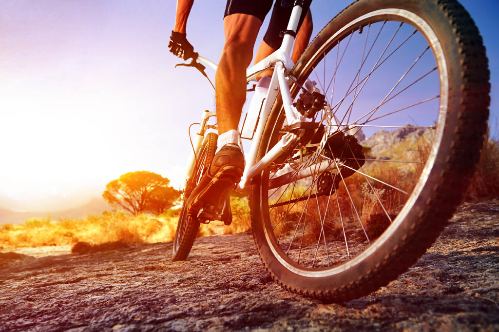 Bicycle Rental
