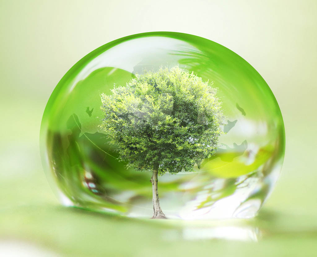 environmental