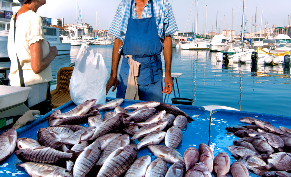 fish depot