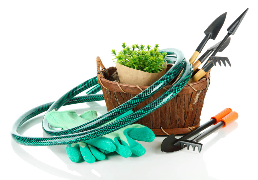 plant supplies