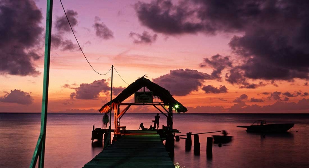 | TriniGo | Tobago a beautiful Caribbean land, population 60,874. Located northeast of Trinidad. She is known as the twin islands of Trinidad and Tobago. | TriniGo