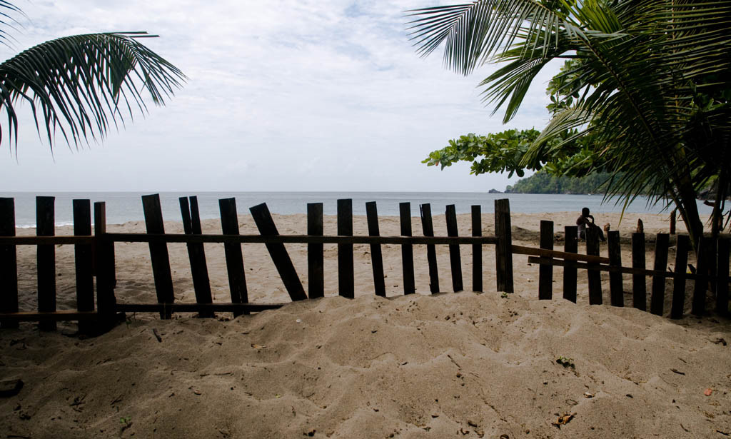 Beach-Grande-riviere-trinidad Beach-Grande-riviere-trinidad