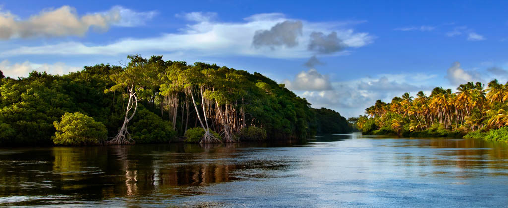 mayaro-mangrove-landscape mayaro-mangrove-landscape