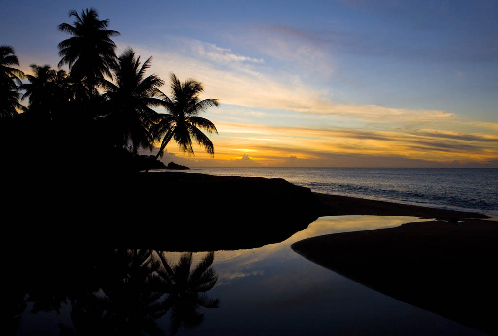 Turtle-Beach-Tobago Turtle-Beach-Tobago