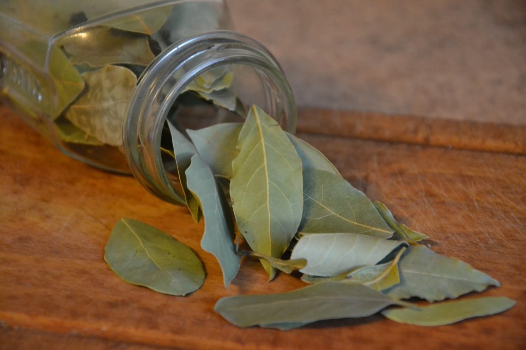 | TriniGo | Medical plants initiated from the first inhabitants of our islands, from the enslaved Africans to later the indentured labourers from India. Even the European explorers, all used these indigenous treatments. | TriniGo