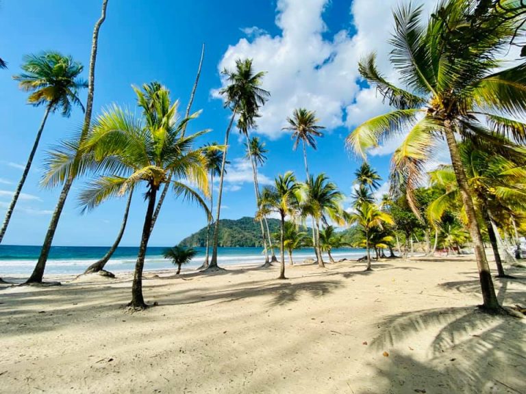 maracas bay 768x576